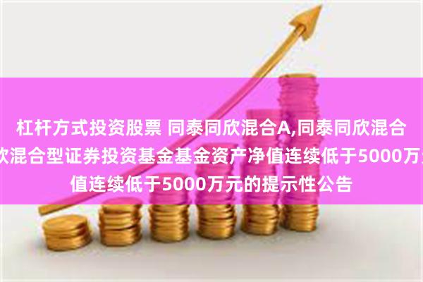 杠杆方式投资股票 同泰同欣混合A,同泰同欣混合C: 关于同泰同欣混合型证券投资基金基金资产净值连续低于5000万元的提示性公告