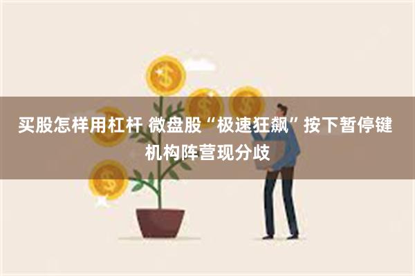 买股怎样用杠杆 微盘股“极速狂飙”按下暂停键 机构阵营现分歧